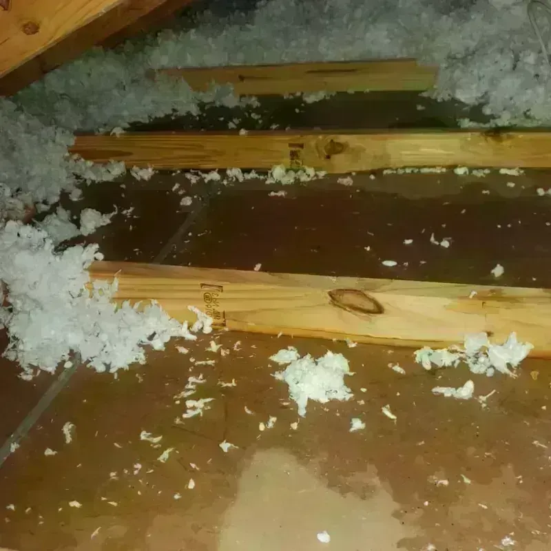 Attic Water Damage in Pulaski County, KY